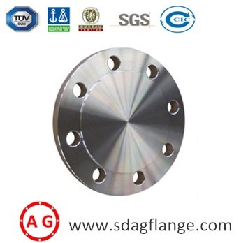 SEBAGAI Blind Flange