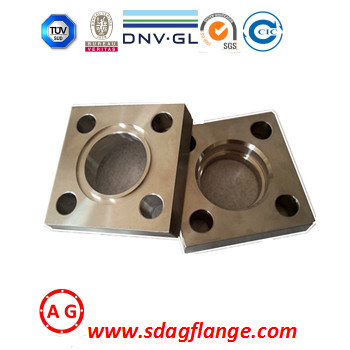 Custom-Made ISO9001 BV SGS Railing Square Flange